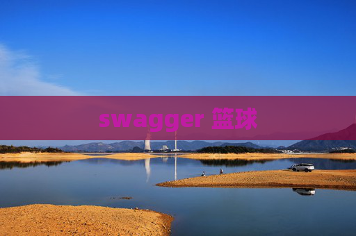 swagger 篮球 swagger 篮球
