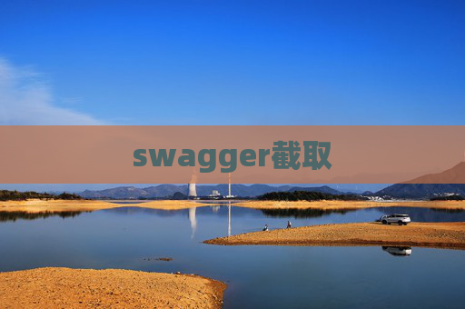 swagger截取